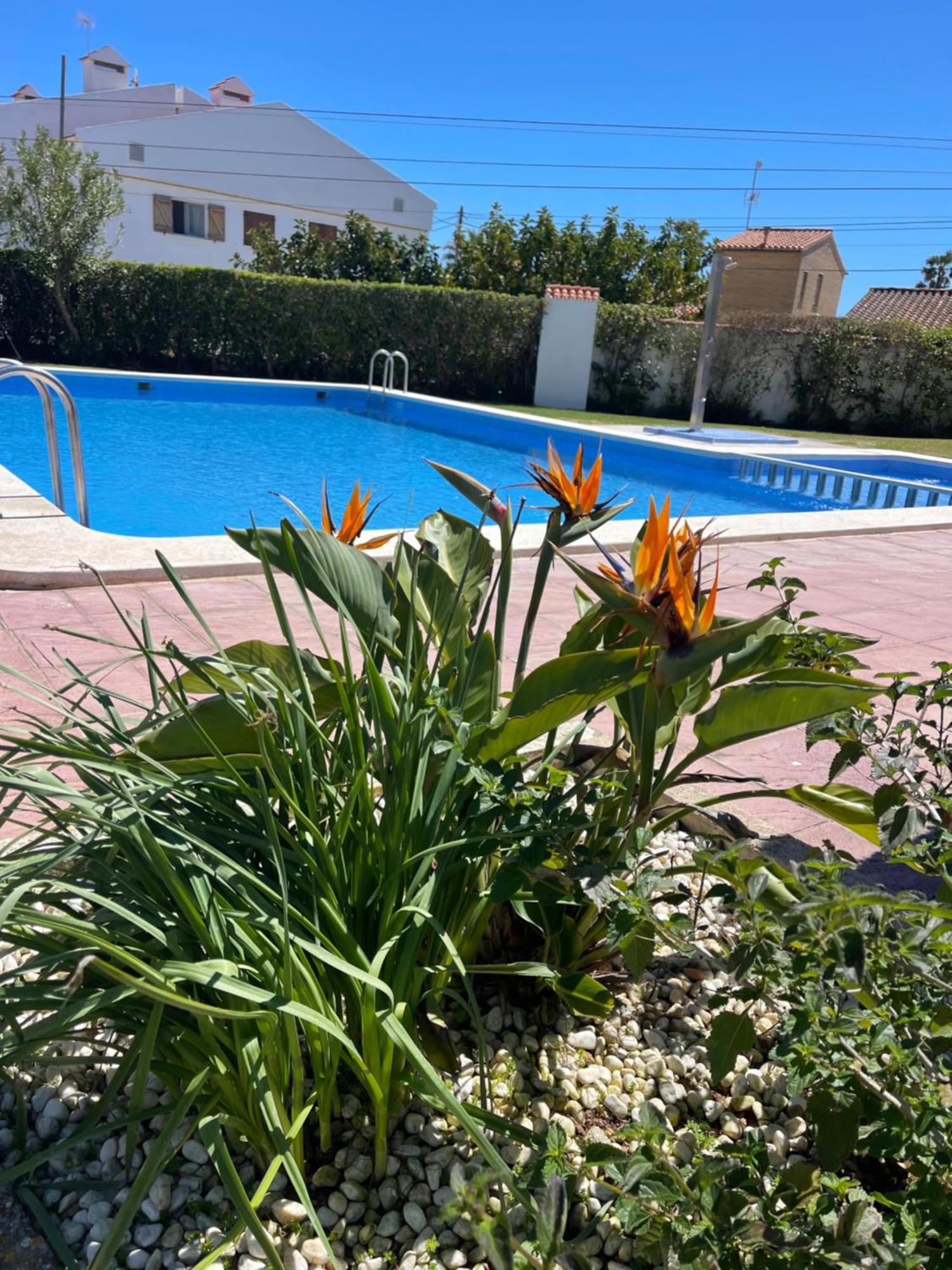 Cala Puntal Apartment Vinarós Ngoại thất bức ảnh